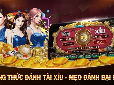 365 Ca Cuoc Cá Cược 365 Ngày Uy Tín Nhà Cái Hàng Đầu Châu Á