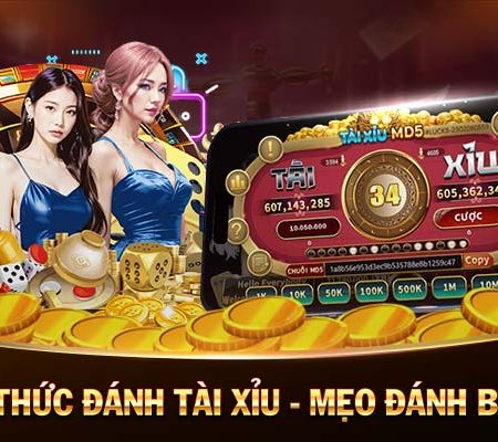 365 Ca Cuoc Cá Cược 365 Ngày Uy Tín Nhà Cái Hàng Đầu Châu Á