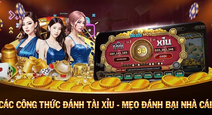 365 Ca Cuoc Cá Cược 365 Ngày Uy Tín Nhà Cái Hàng Đầu Châu Á