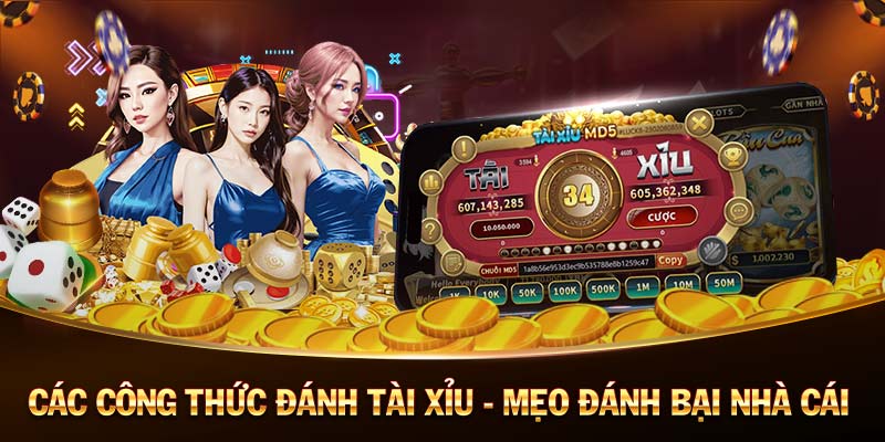 365 Ca Cuoc Cá Cược 365 Ngày Uy Tín Nhà Cái Hàng Đầu Châu Á